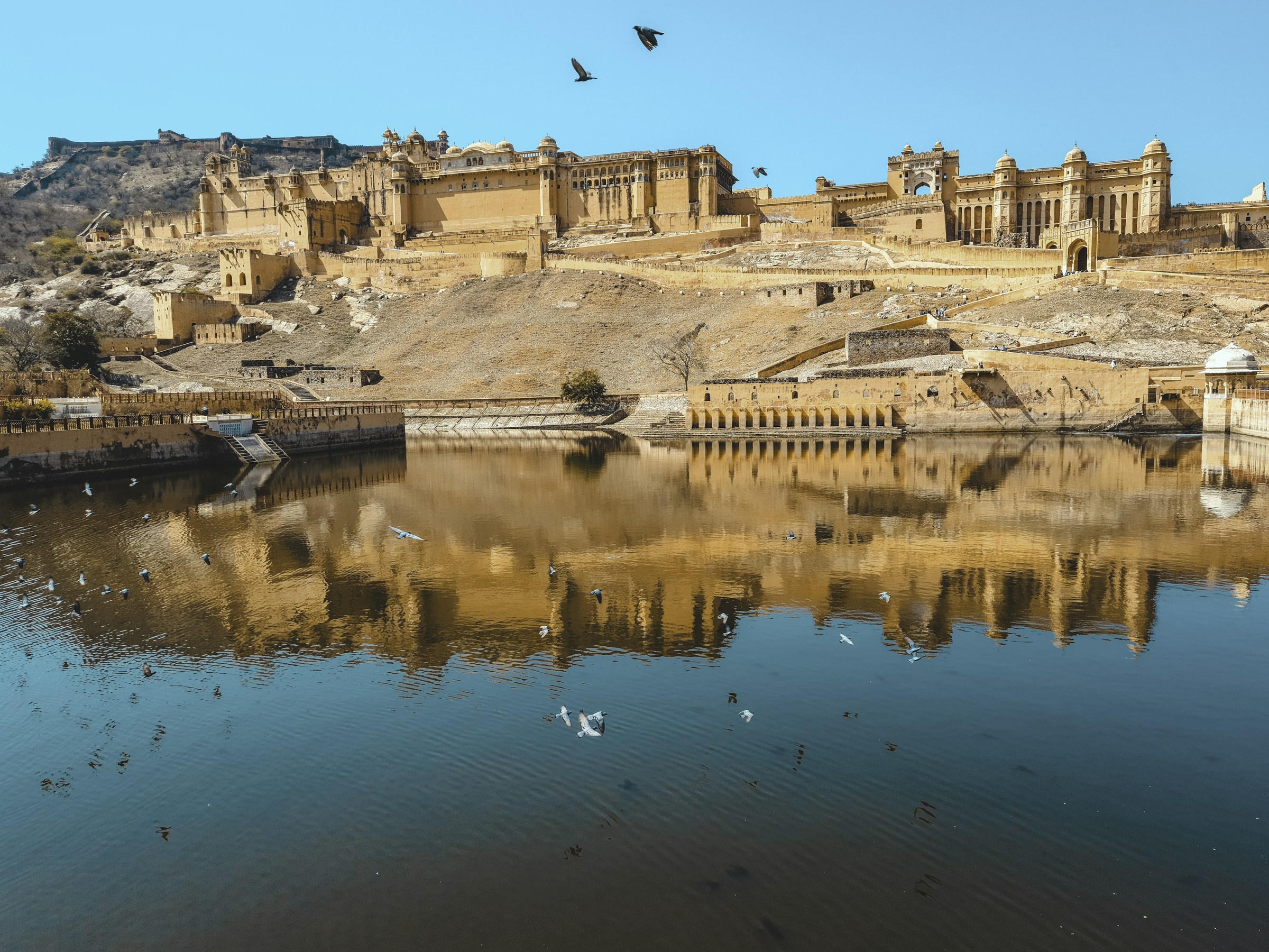 Amer Fort reflected in Maota Lake, Jaipur
