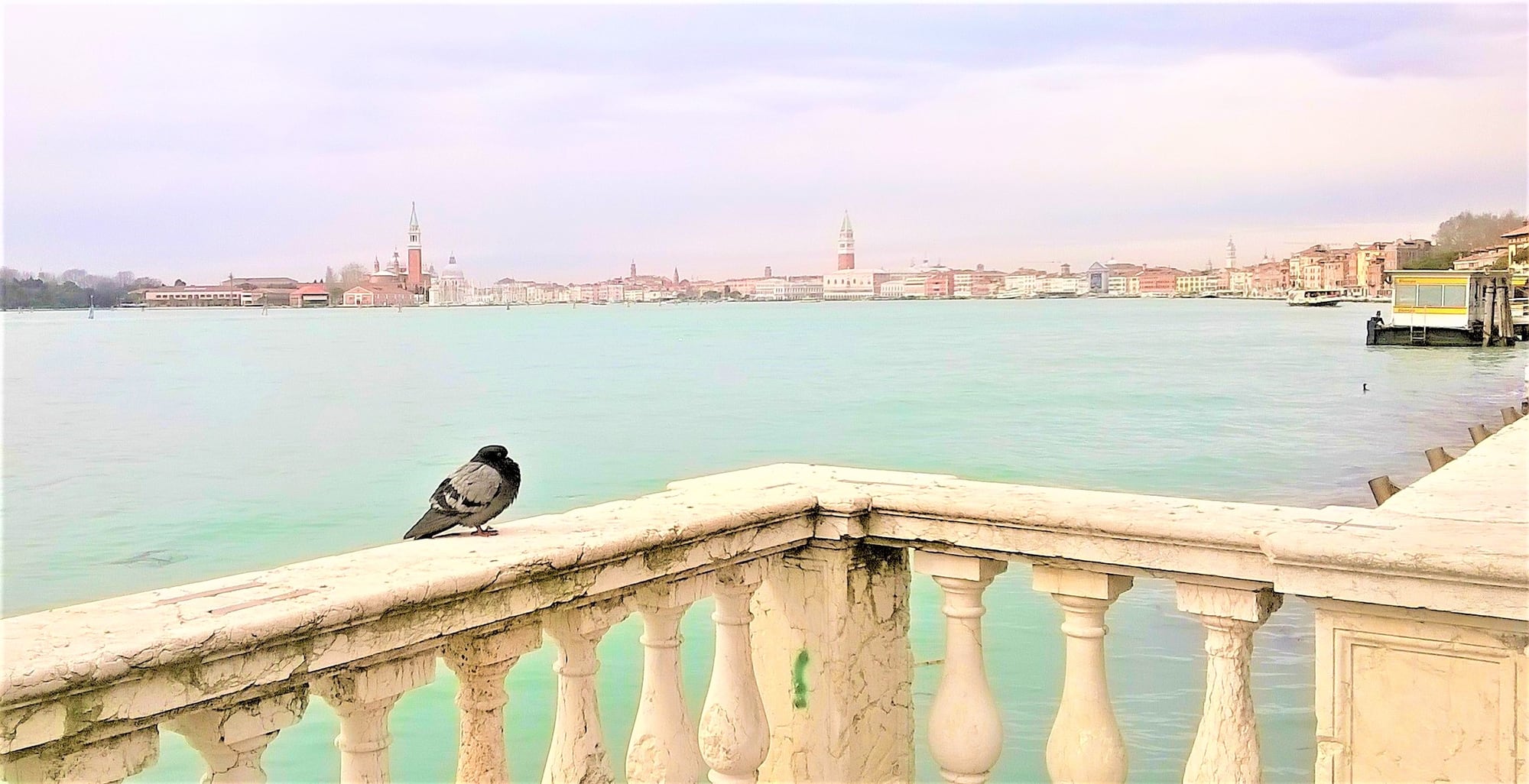 View across Venice from the Giardini della Biennale toward the lagoon