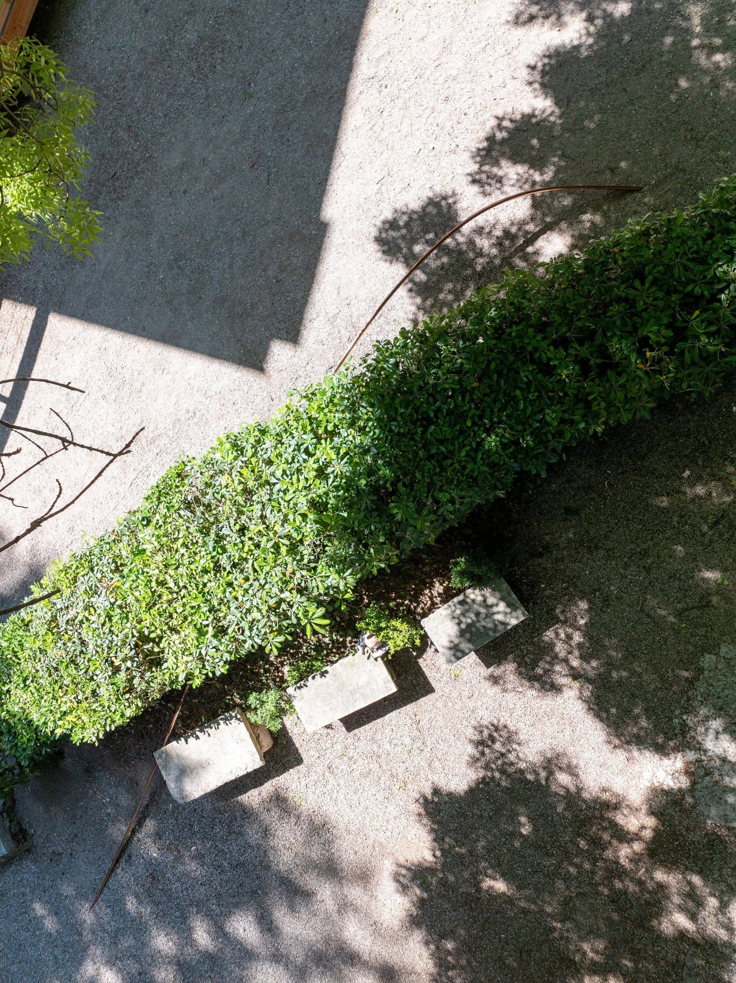 Copper rod from Goen Choi's Meridian crossing the hedge between the Korean and Japan pavilions