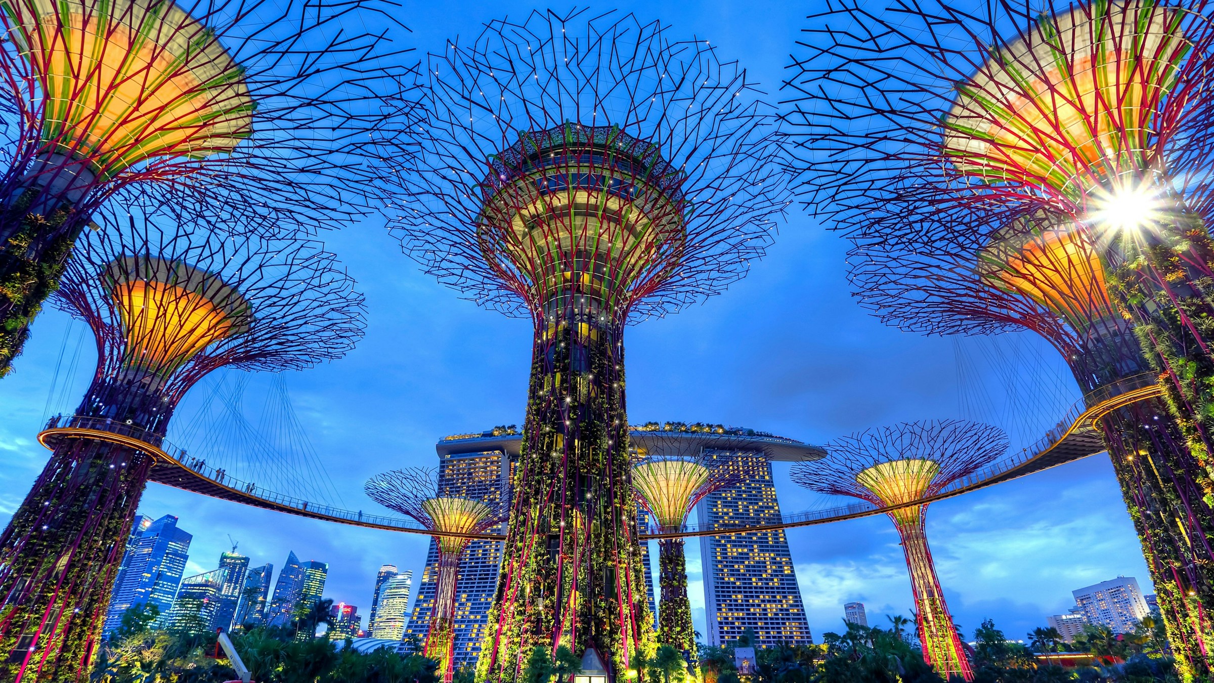 Singapore street with tropical urban greenery