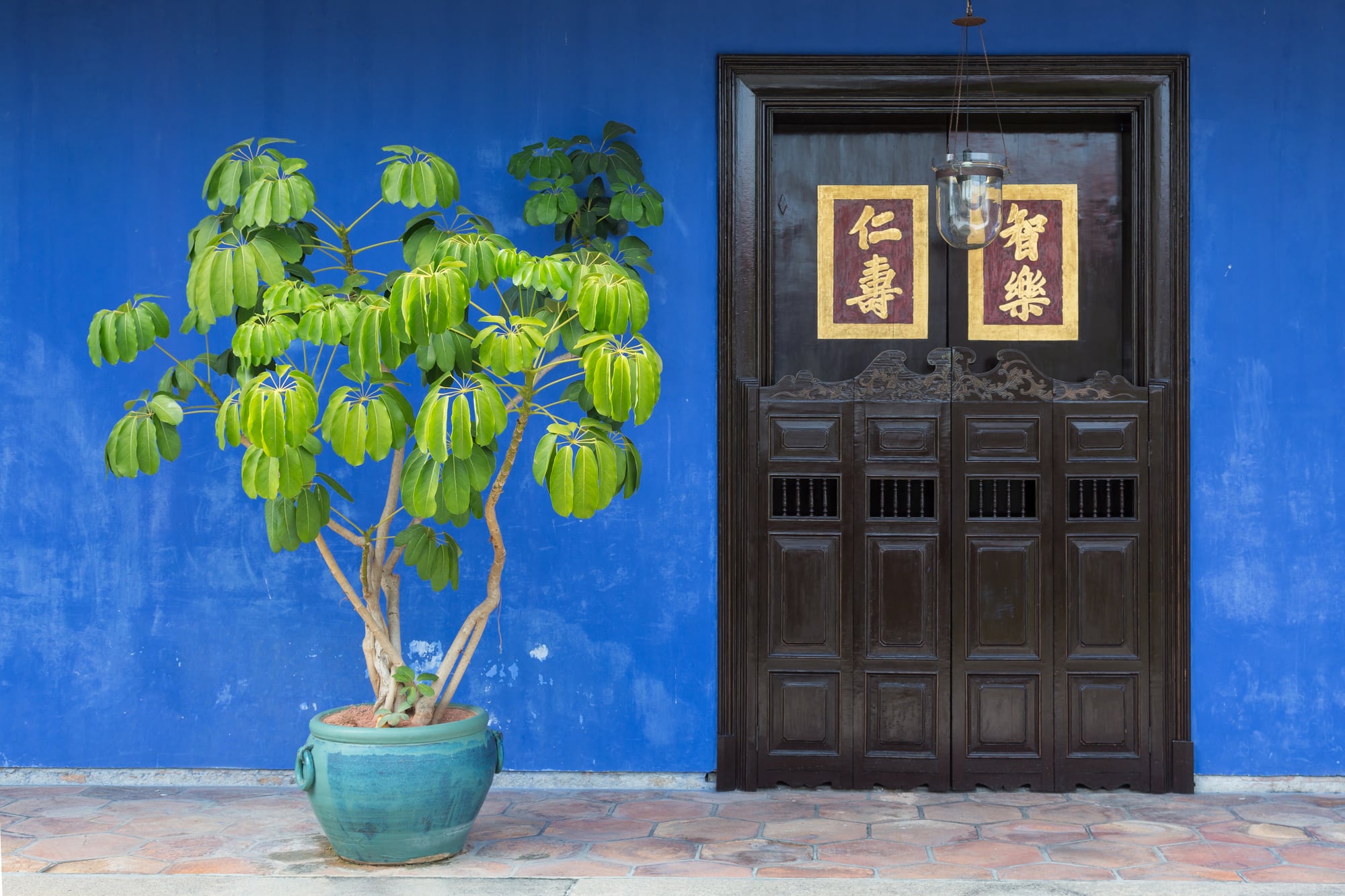 Indigo courtyard wall and carved Chinese door at Cheong Fatt Tze Mansion