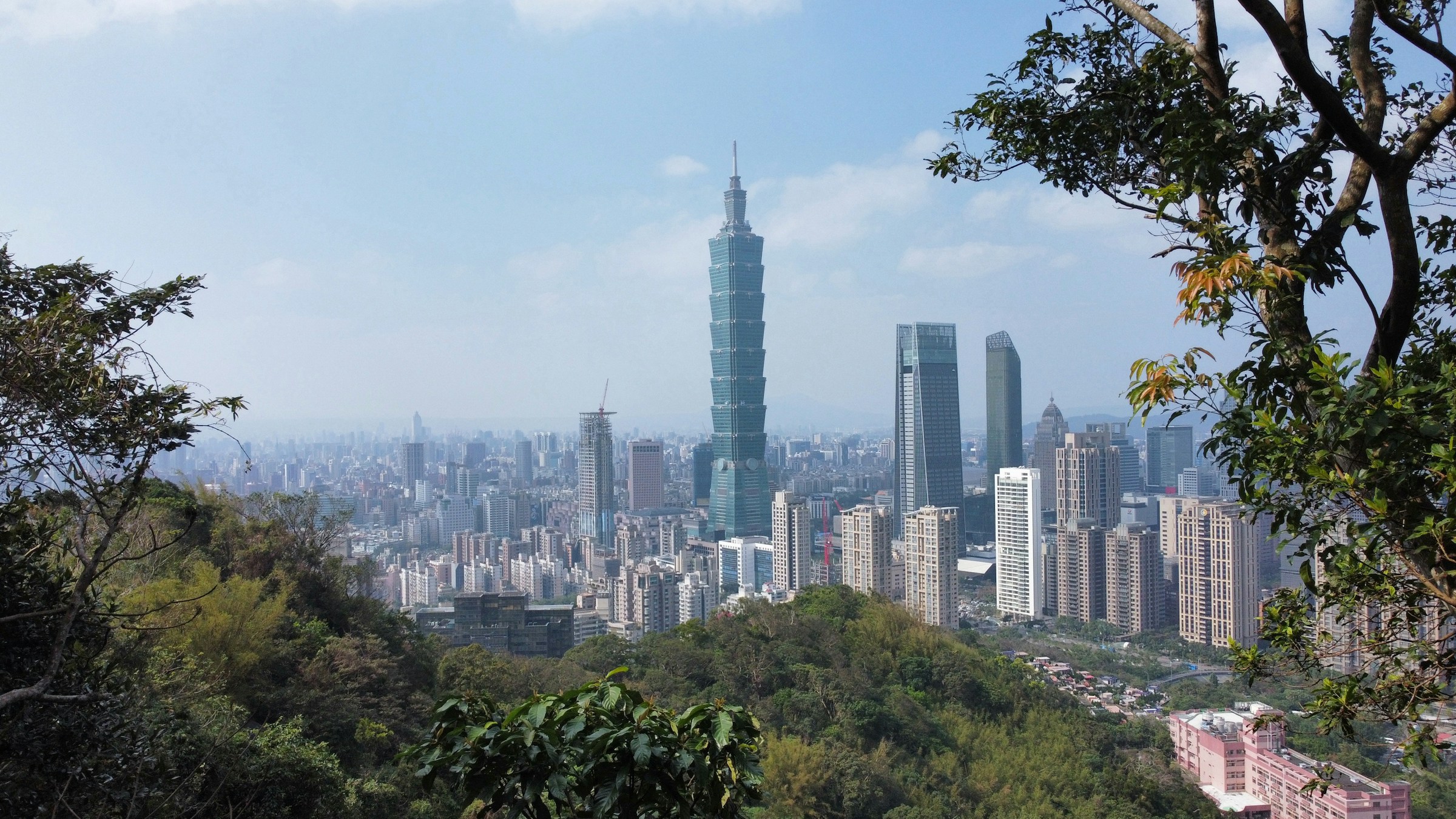 Taipei 101 framed by hillside trees from Elephant Mountain